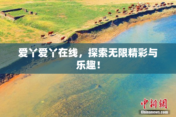 爱丫爱丫在线，探索无限精彩与乐趣！