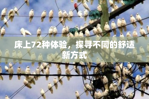 床上72种体验，探寻不同的舒适新方式
