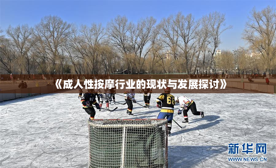 《成人性按摩行业的现状与发展探讨》