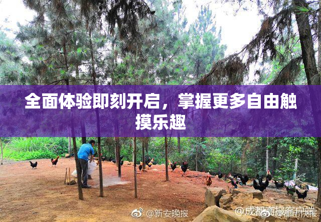 全面体验即刻开启，掌握更多自由触摸乐趣