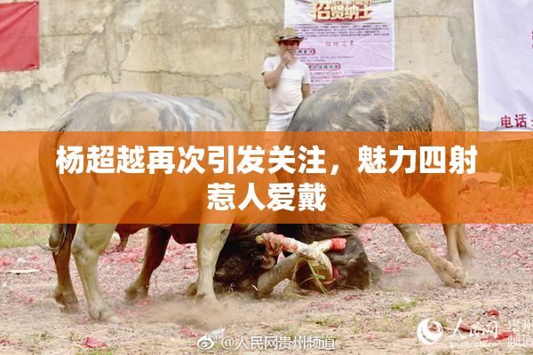 杨超越再次引发关注，魅力四射惹人爱戴