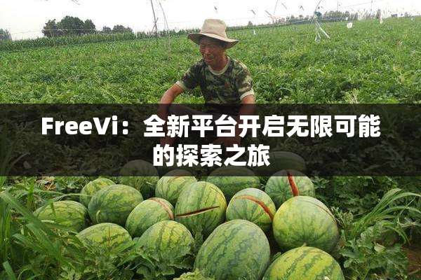 FreeVi：全新平台开启无限可能的探索之旅