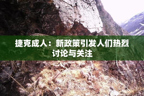 捷克成人：新政策引发人们热烈讨论与关注