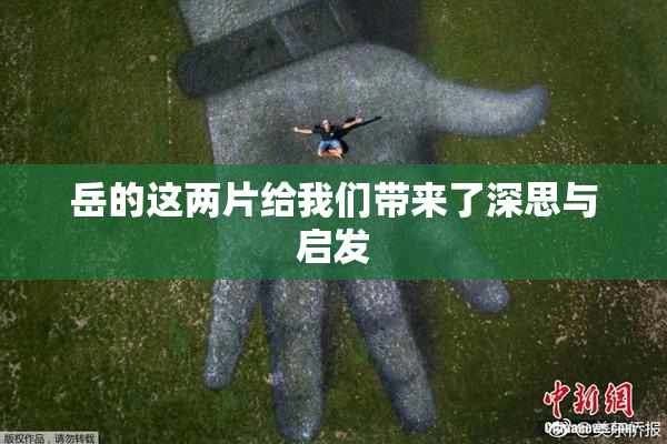 岳的这两片给我们带来了深思与启发
