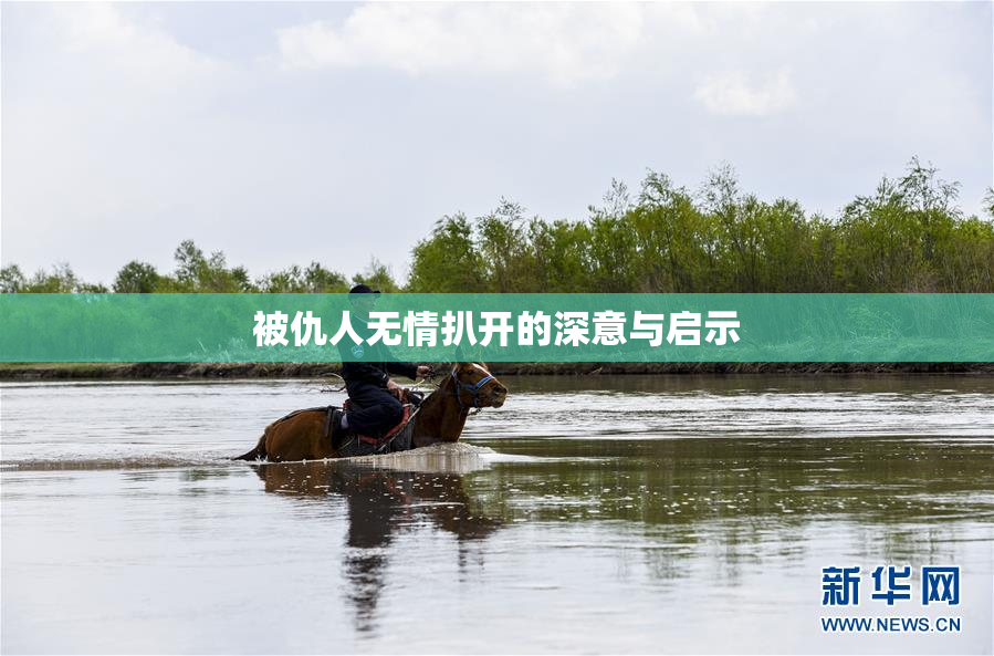 被仇人无情扒开的深意与启示