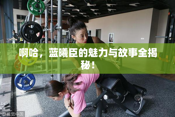 啊哈，蓝曦臣的魅力与故事全揭秘！