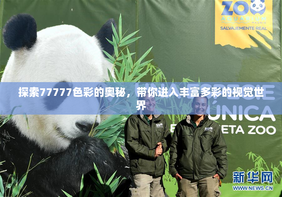 探索77777色彩的奥秘，带你进入丰富多彩的视觉世界