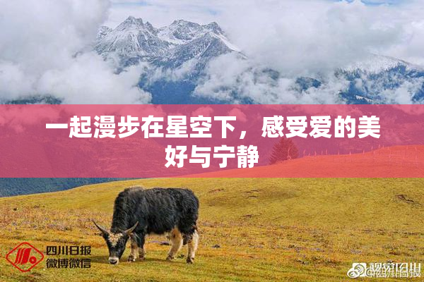 一起漫步在星空下，感受爱的美好与宁静