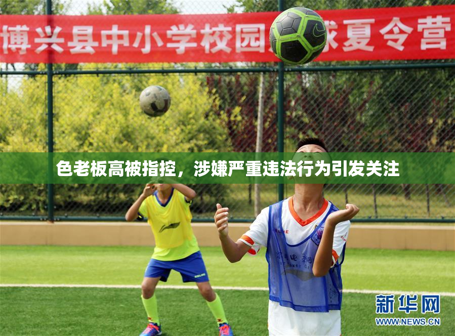 色老板高被指控，涉嫌严重违法行为引发关注