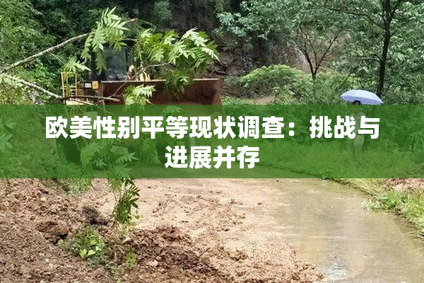 欧美性别平等现状调查：挑战与进展并存
