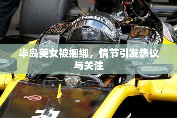 半岛美女被捆绑，情节引发热议与关注
