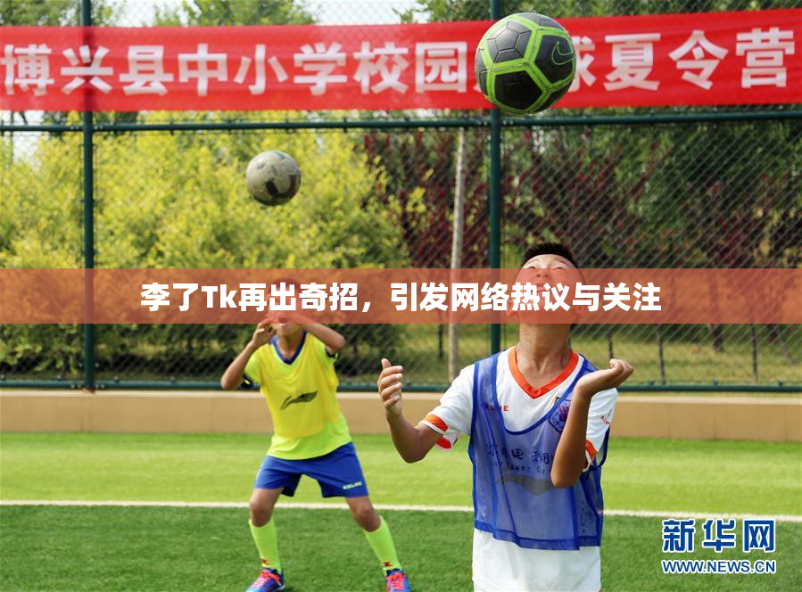 李了Tk再出奇招，引发网络热议与关注