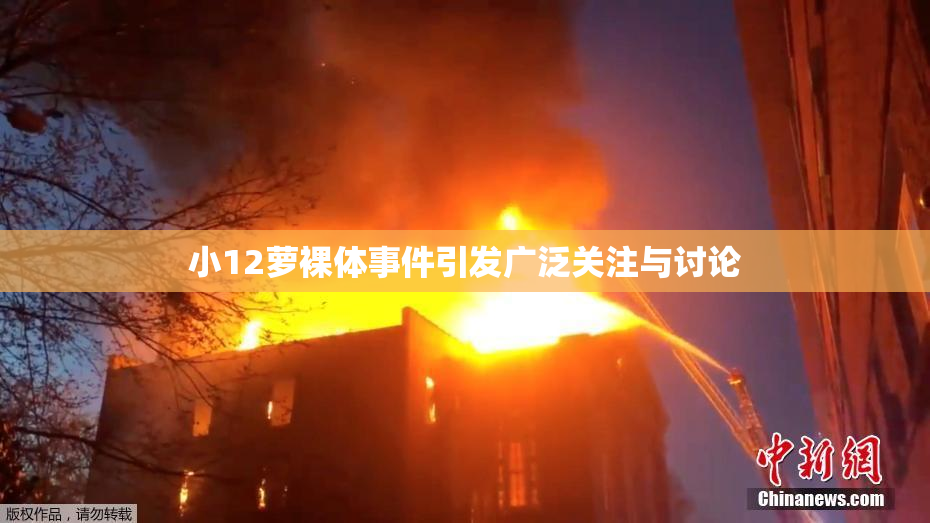 小12萝裸体事件引发广泛关注与讨论