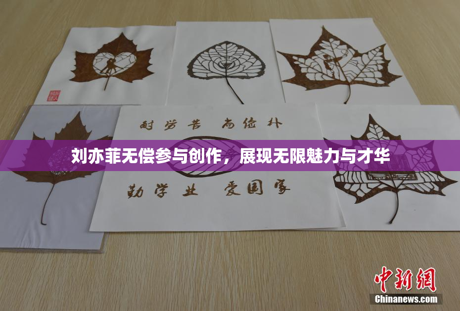 刘亦菲无偿参与创作，展现无限魅力与才华