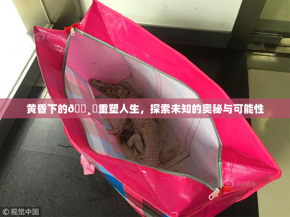 黄昏下的🌸‌重塑人生，探索未知的奥秘与可能性