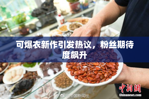 可爆衣新作引发热议，粉丝期待度飙升