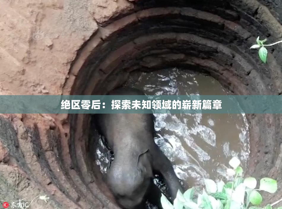 绝区零后：探索未知领域的崭新篇章