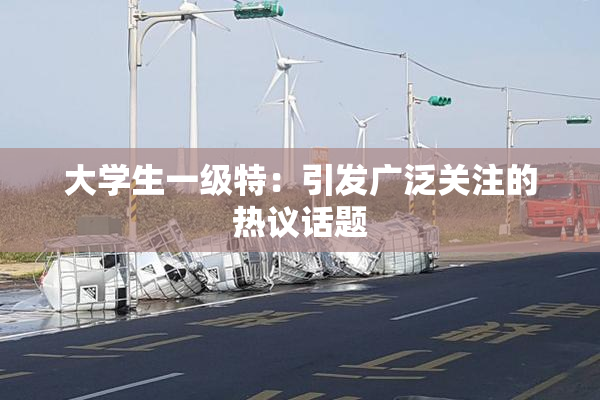 大学生一级特：引发广泛关注的热议话题
