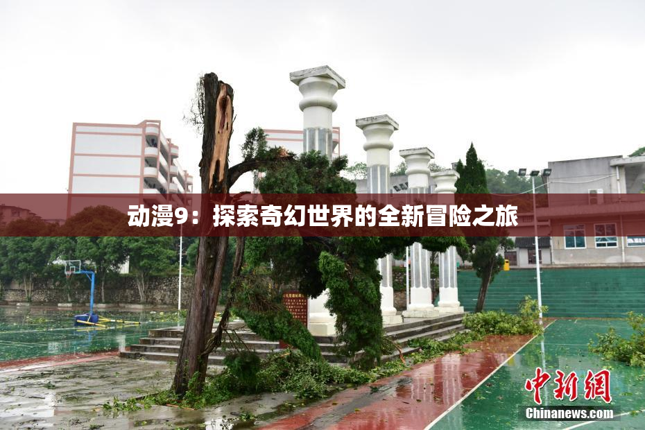动漫9：探索奇幻世界的全新冒险之旅