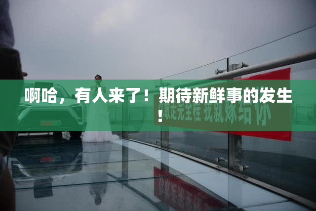 啊哈，有人来了！期待新鲜事的发生！