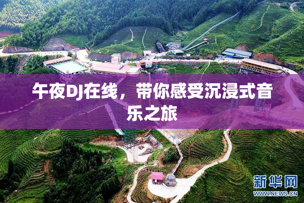 午夜DJ在线，带你感受沉浸式音乐之旅