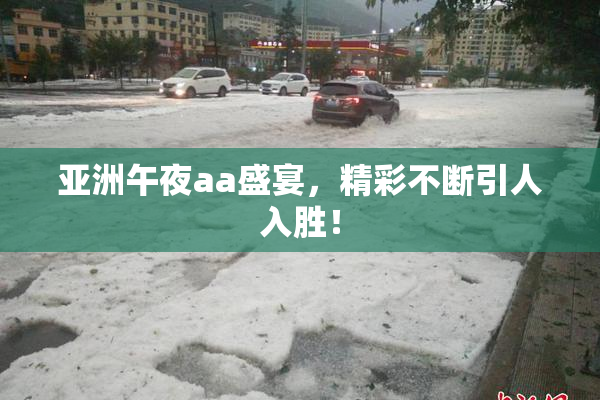 亚洲午夜aa盛宴，精彩不断引人入胜！