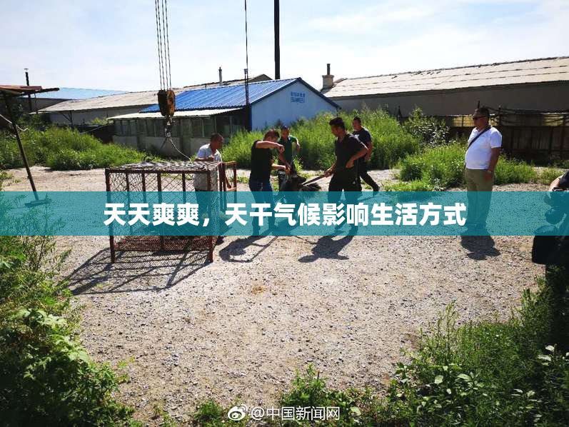天天爽爽，天干气候影响生活方式