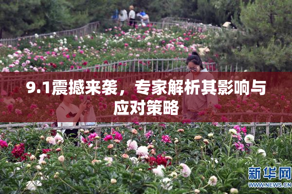 9.1震撼来袭，专家解析其影响与应对策略