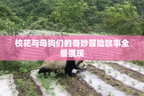 校花与母狗们的奇妙冒险故事全景展现