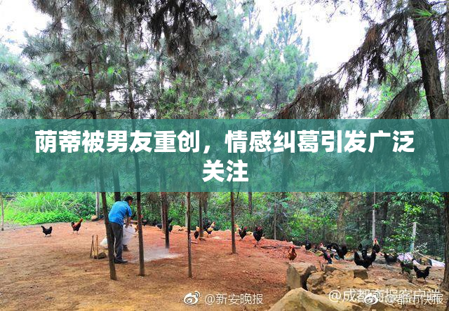 荫蒂被男友重创，情感纠葛引发广泛关注