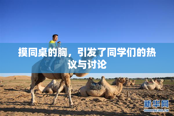 摸同桌的胸，引发了同学们的热议与讨论