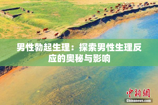 男性勃起生理：探索男性生理反应的奥秘与影响