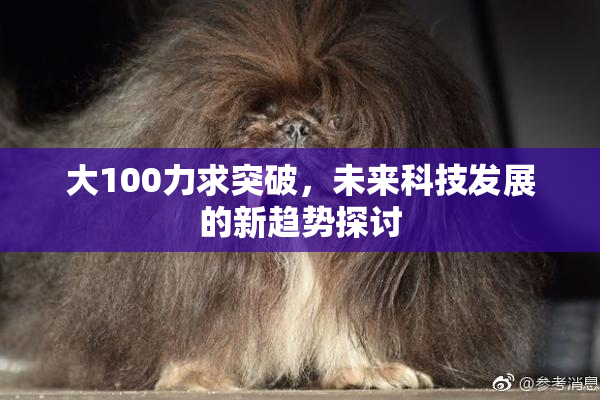 大100力求突破，未来科技发展的新趋势探讨