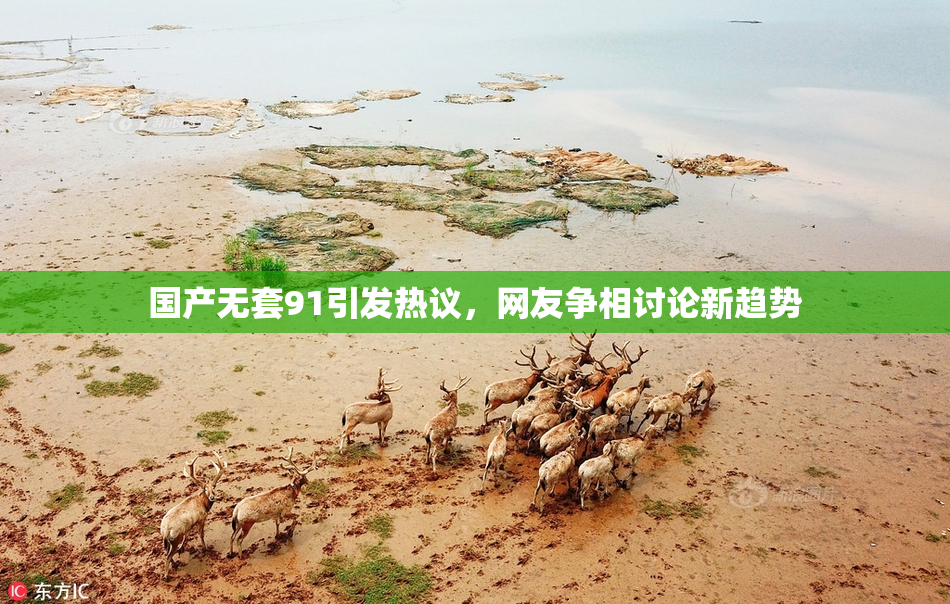 国产无套91引发热议，网友争相讨论新趋势