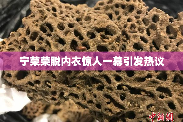 宁荣荣脱内衣惊人一幕引发热议