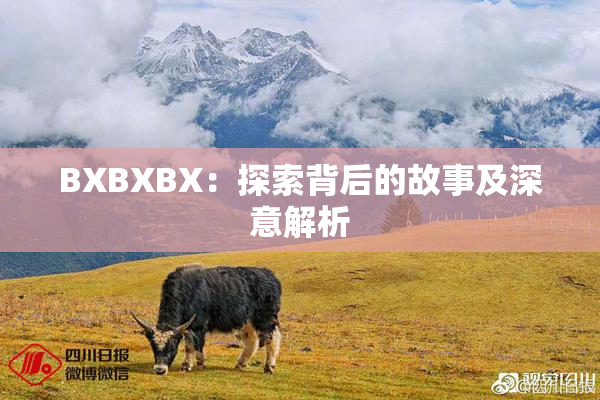 BXBXBX：探索背后的故事及深意解析