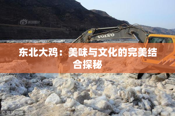 东北大鸡：美味与文化的完美结合探秘