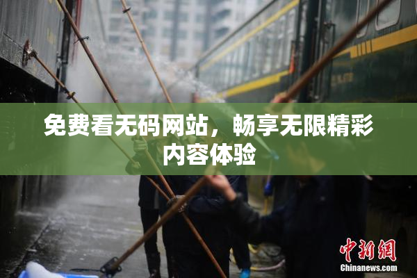 免费看无码网站，畅享无限精彩内容体验
