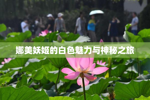 娜美妖姬的白色魅力与神秘之旅