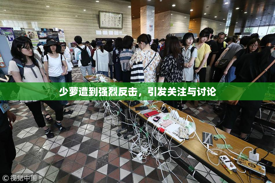 少萝遭到强烈反击，引发关注与讨论