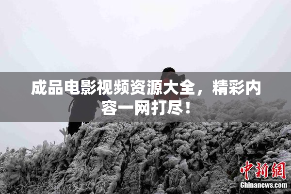 成品电影视频资源大全，精彩内容一网打尽！
