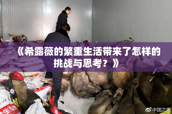 《希露薇的繁重生活带来了怎样的挑战与思考？》
