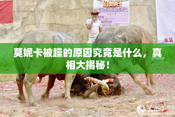 莫妮卡被躁的原因究竟是什么，真相大揭秘！