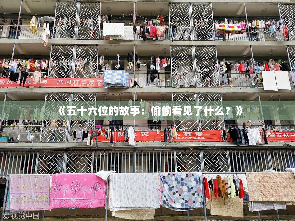 《五十六位的故事：偷偷看见了什么？》
