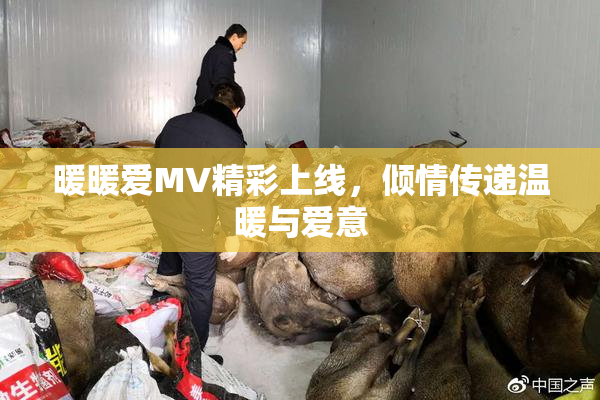 暖暖爱MV精彩上线，倾情传递温暖与爱意
