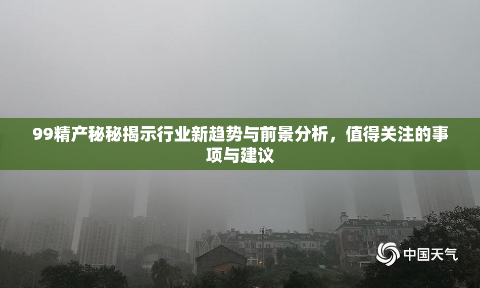 99精产秘秘揭示行业新趋势与前景分析，值得关注的事项与建议