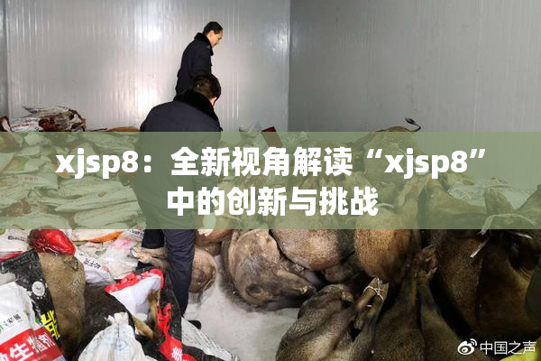 xjsp8：全新视角解读“xjsp8”中的创新与挑战