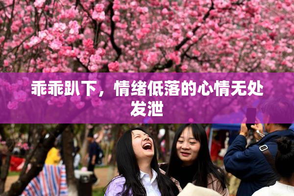 乖乖趴下，情绪低落的心情无处发泄