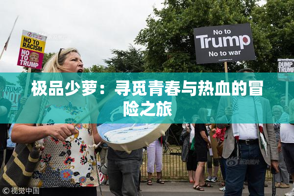 极品少萝：寻觅青春与热血的冒险之旅