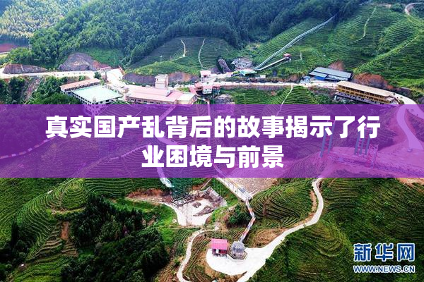 真实国产乱背后的故事揭示了行业困境与前景